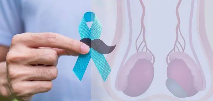معا نقاوم: توعية و تحديات سرطان الخصية و أهمية الكشف المبكر و الدعم النفسي