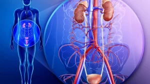 كيف يمكن لأخصائي المسالك البولية مساعدة في تجنب التهاب المسالك البولية المزمن؟